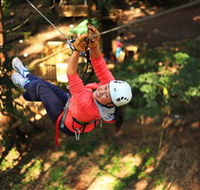 Trees Adventure Grose River Park - Lismore Accommodation