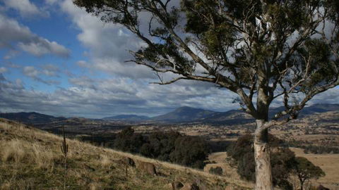 Urambi Hills - Lismore Accommodation 2