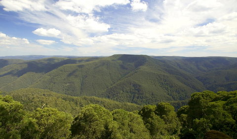Barrington Tops National Park - Lismore Accommodation 0