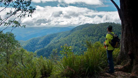 Barrington Tops National Park - Lismore Accommodation 3