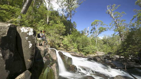 Barrington Tops National Park - Lismore Accommodation 2