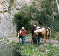 Yarramba Horse Riding - Lismore Accommodation