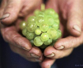 Keith Tulloch Wine - Lismore Accommodation 1
