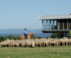 Tobruk Sydney - Lismore Accommodation 0