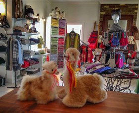 Australian Alpaca Barn - Hunter Valley Gardens - Lismore Accommodation 2