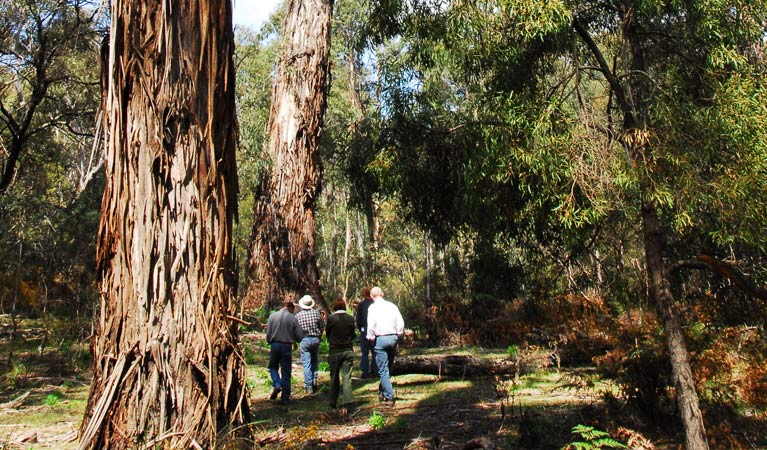 Araluen NSW Lismore Accommodation