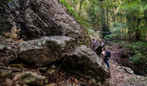 Woko National Park - Lismore Accommodation 2