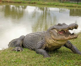 Hunter Valley Zoo - Lismore Accommodation 1