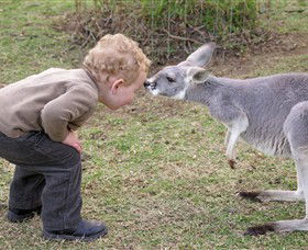 Hunter Valley Zoo - Lismore Accommodation 3
