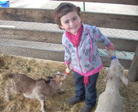 Hunter Valley Zoo - Lismore Accommodation 4