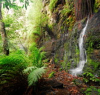 Fairy Bower Falls - Lismore Accommodation