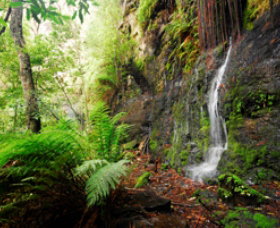 Fairy Bower Falls - Lismore Accommodation 0