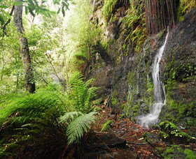 Fairy Bower Falls - Lismore Accommodation 2