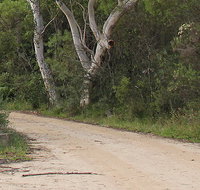 Riverview walking track - Lismore Accommodation