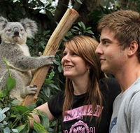 Featherdale Wildlife Park - Lismore Accommodation