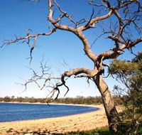 Lake Indoon - Lismore Accommodation