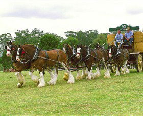 Belgenny Farm - Lismore Accommodation 2