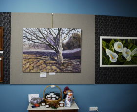 Monaro Art Groups Little Gallery