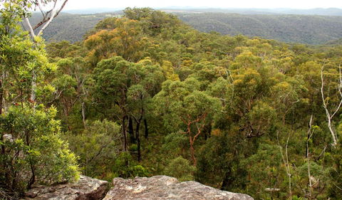 Mount Olive Lookout - Lismore Accommodation 0