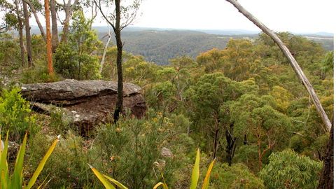 Mount Olive Lookout - Lismore Accommodation 2