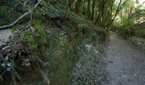 Hidden Treasure Track - Lismore Accommodation 0