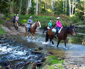 Glenworth Valley Horse Riding - Lismore Accommodation 1
