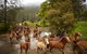 Glenworth Valley Horse Riding - thumb 0