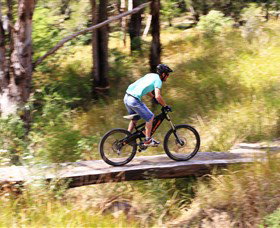 The Steps Mountain Bike Park - Lismore Accommodation 0