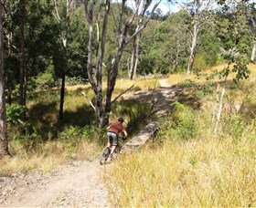 The Steps Mountain Bike Park - Lismore Accommodation 2
