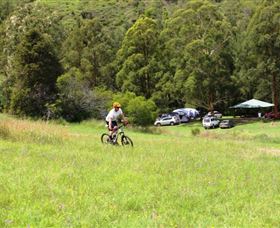 The Steps Mountain Bike Park - Lismore Accommodation 1