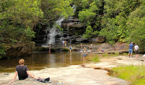 Somersby Falls Picnic Area - Lismore Accommodation 0