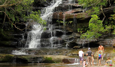 Somersby Falls Picnic Area - Lismore Accommodation 2