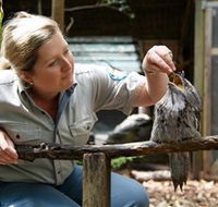 Walkabout Creek - Lismore Accommodation