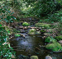 Macquarie Pass National Park - Lismore Accommodation