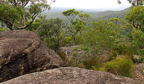 Pigeon House Mountain Didthul Walking Track - Lismore Accommodation 1