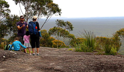 Pigeon House Mountain Didthul Walking Track - Lismore Accommodation 2