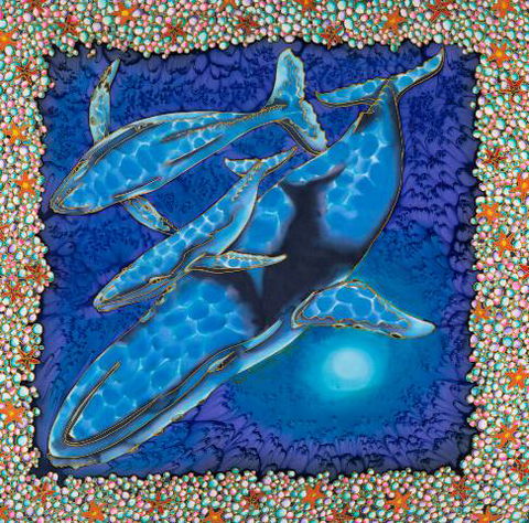 Sea Silks Gallery - Lismore Accommodation 2