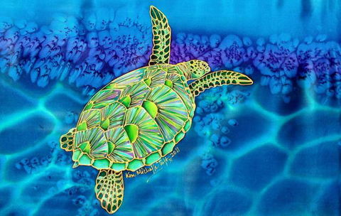 Sea Silks Gallery - Lismore Accommodation 5