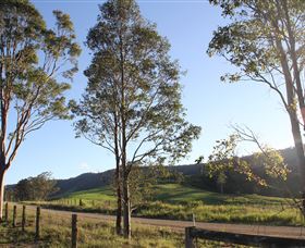 Tourist Drive 2 - Bucketts Way - Lismore Accommodation 1