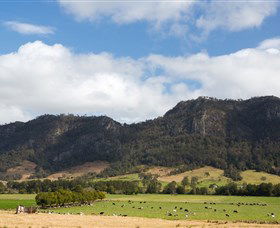 Tourist Drive 2 - Bucketts Way - Lismore Accommodation 2