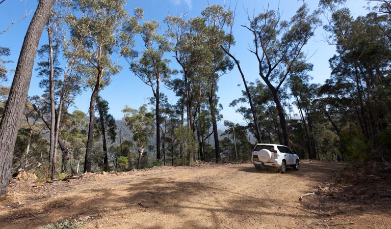 Wadbilliga NSW Lismore Accommodation
