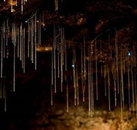 Tamborine Mountain Glow Worm Caves - Lismore Accommodation