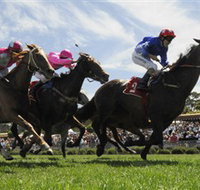 Moruya Racecourse - Lismore Accommodation