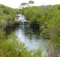 Booderee National Park Green Patch and Telegraph Creek Walking Tracks - Lismore Accommodation