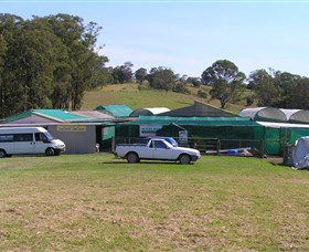 Tinonee Orchid Nursery - Lismore Accommodation 0