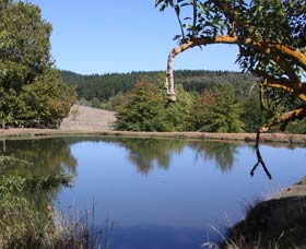 Oak Grove Walk, Balingup - Lismore Accommodation 0