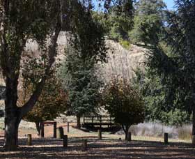 Oak Grove Walk, Balingup - Lismore Accommodation 2
