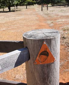 Oak Grove Walk, Balingup - Lismore Accommodation 3