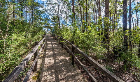 Flat Rock Lookout - Lismore Accommodation 2