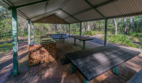 Brimbin Nature Reserve - Lismore Accommodation 1